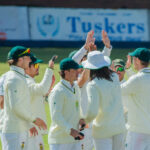 South Africa shine with bat and ball in big win