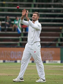 South Africa's Aiden Markram was named as the captain for the ICC's team of the tournament.