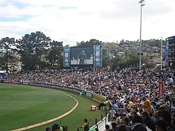 Hill, Australia v South Africa, 2009