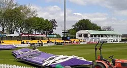 The Meet (right)