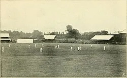 Cricket being played at Lord's in 1899