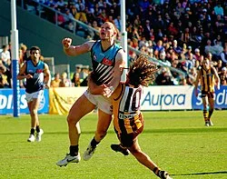 Hawthorn vs Port Adelaide AFL match in 2007