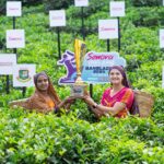 Bangladesh Honors Tea Heritage in T20 Showdown