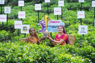 Bangladesh Honors Tea Heritage in T20 Showdown