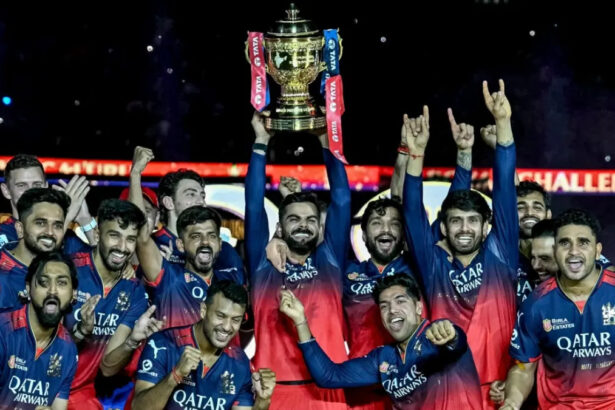 Who won what in the IPL 2025 season